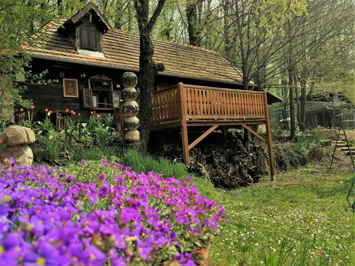 Country House With A Pool In Medvednica Nature Park Zágráb Kültér fotó